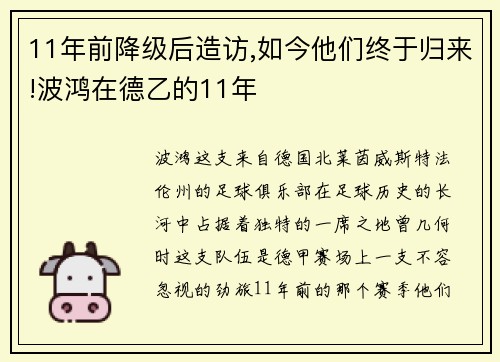 11年前降级后造访,如今他们终于归来!波鸿在德乙的11年