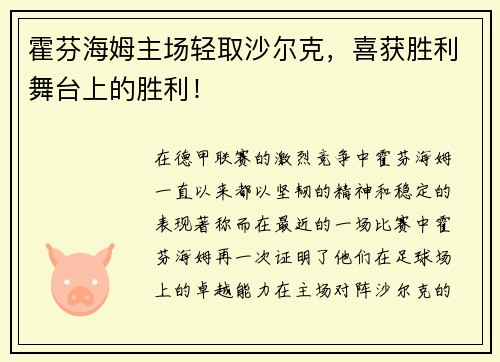 霍芬海姆主场轻取沙尔克，喜获胜利舞台上的胜利！